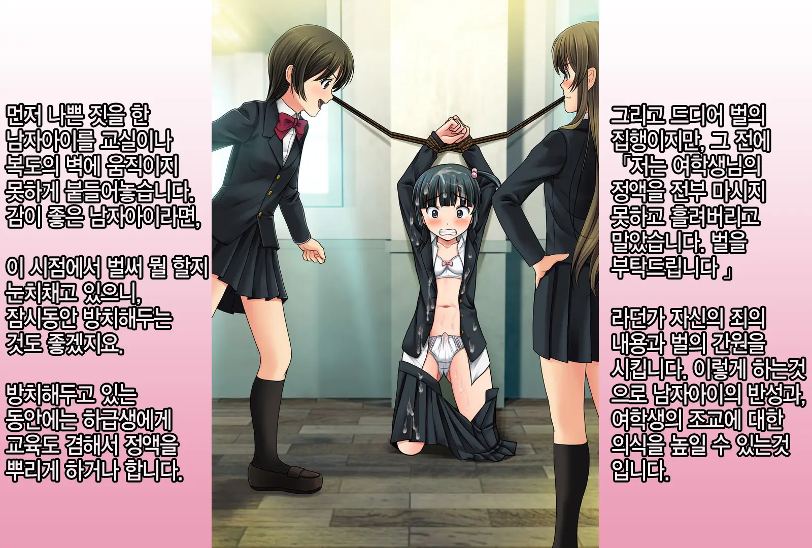 Joken Jidai Ni Okeru Shinjin Kyoushi No Tame No Gakunenbetsu Shidou Youkou